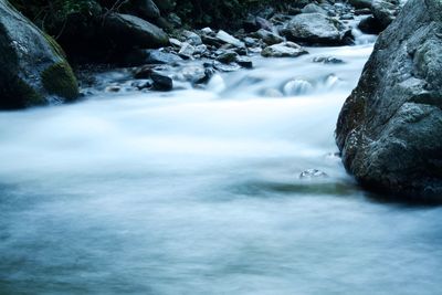 River flowing at forest