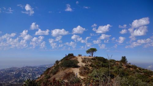 Scenic view of landscape against blue sky