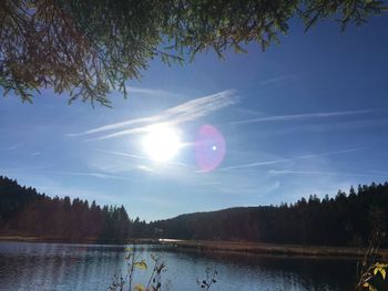 Scenic view of trees against sky
