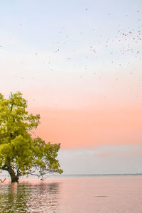 Scenic view of sea against sky at sunset