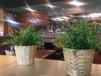 Potted plants on table at illuminated restaurant