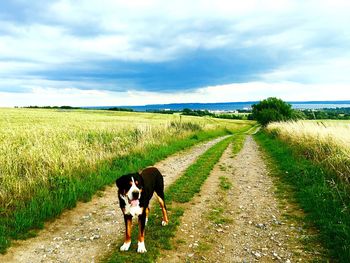 Man and woman on field against sky