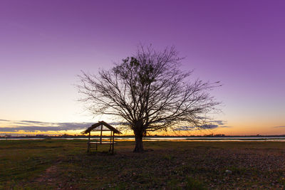 Bare tree on field against sky during sunset