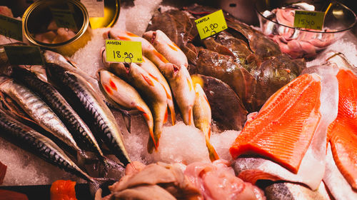 Close-up of seafood on barbecue grill