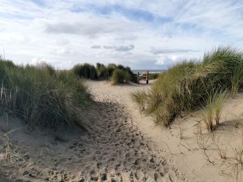 Scenic view of beach against sky