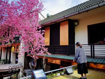 Woman standing by pink flowering tree against building