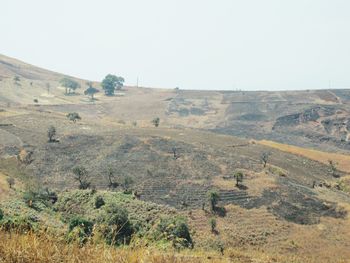 Scenic view of landscape against clear sky