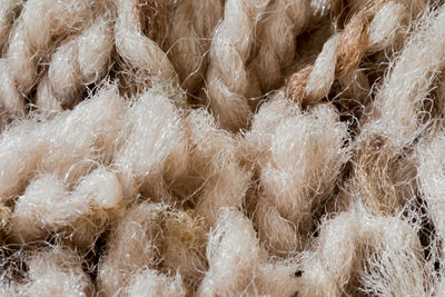 Full frame shot of dog