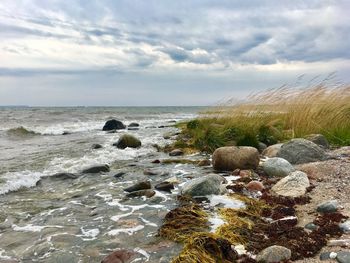 Scenic view of sea against sky