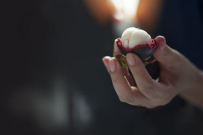 Peeled mangosteen in hand with dark background, peeled mangosteen in hand with copy space text