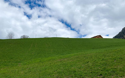 Scenic view of field against sky