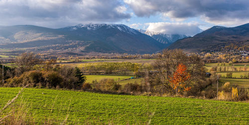 Scenic view of field against sky