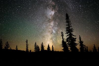 Silhouette trees against sky at night