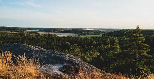 Scenic view of landscape against sky