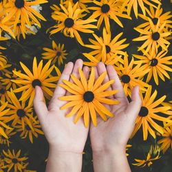 Cropped hand of woman holding flower