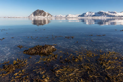 Scenic view of lake against sky during winter
