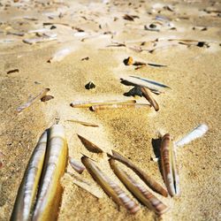 High angle view of cigarette on sand