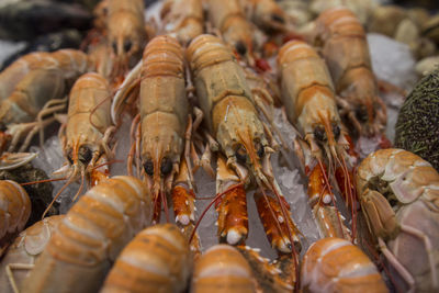 Close-up of fish for sale in market