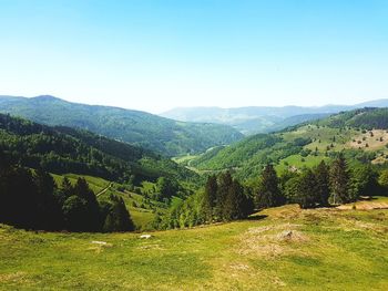 Scenic view of landscape against clear sky
