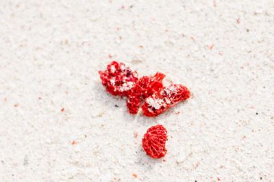High angle view of red plastics on sand at beach