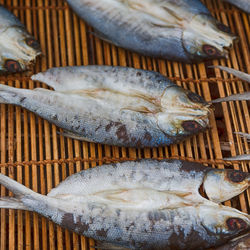 High angle view of fish in basket