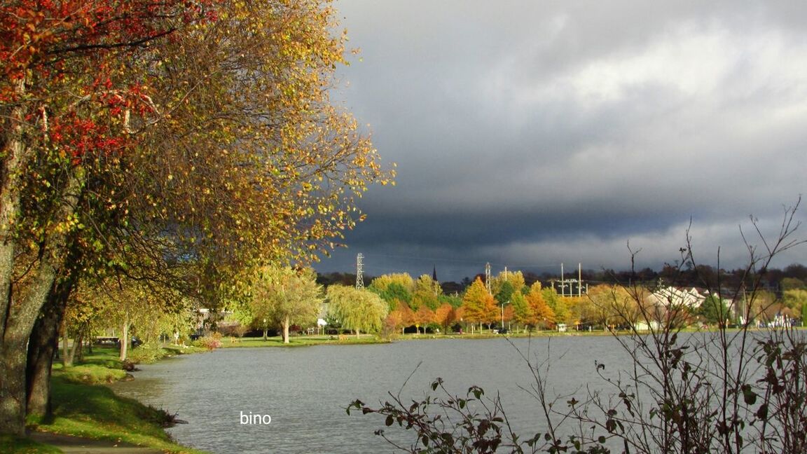 autumn, tree, nature, sky, change, beauty in nature, leaf, scenics, no people, growth, outdoors, river, water, plant, tranquility, day, landscape, architecture, flower