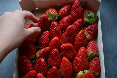 Close-up of hand holding strawberries