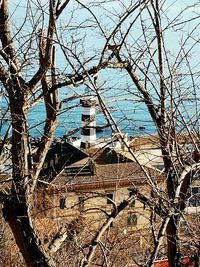 Close-up of tree by sea against sky