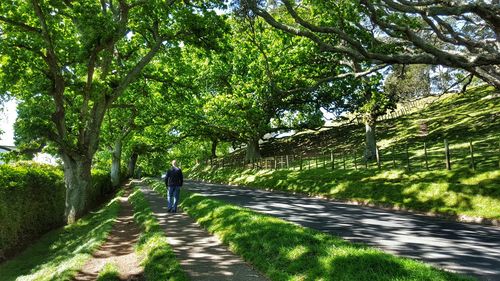 People walking on footpath in forest