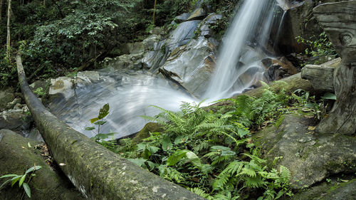 Scenic view of waterfall