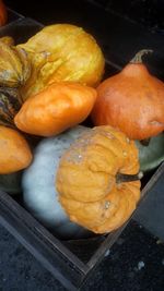 High angle view of pumpkins in container