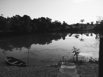 Reflection of trees in water