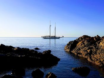 Sailboats sailing in sea against clear sky