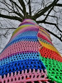 Close-up of multi colored tree
