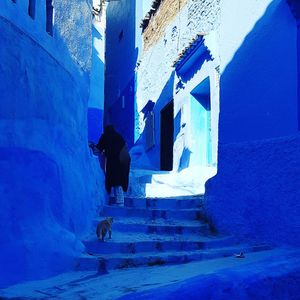 Full length of woman walking against blue wall