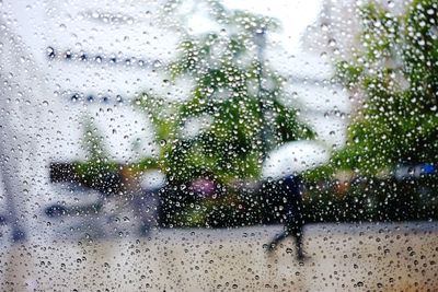 Close-up of wet window in city