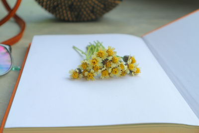 Close-up of yellow flowers on table