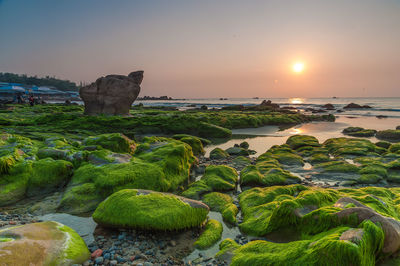 Scenic view of sea against sky during sunset