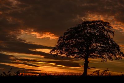 Silhouette tree against sky during sunset