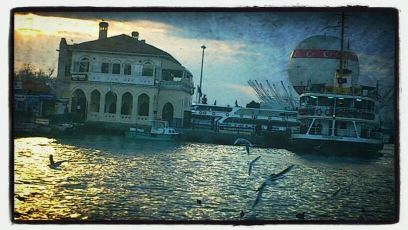 transfer print, building exterior, architecture, auto post production filter, built structure, water, sky, bird, city, cloud - sky, wildlife, animal themes, animals in the wild, reflection, outdoors, incidental people, day, river, building, puddle