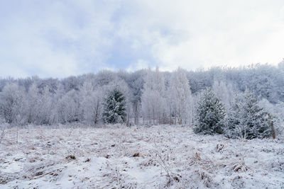 Snow covered field against sky