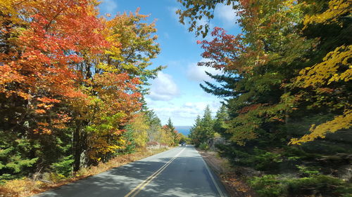Road amidst trees against sky during autumn