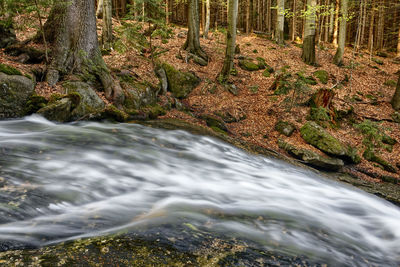 Blurred motion of river in forest