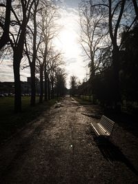 Empty bench amidst bare trees in park