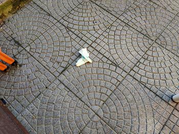 High angle view of cigarette on street