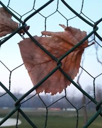 Low angle view of chainlink fence against sky