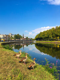 View of lake against blue sky
