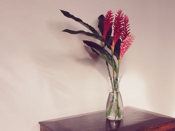 Close-up of flowers