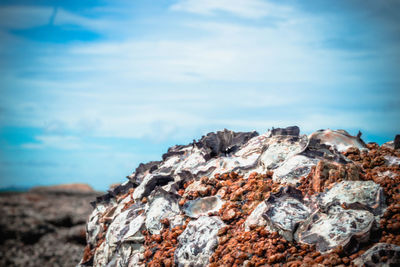 Close-up of rock formation on land against sky