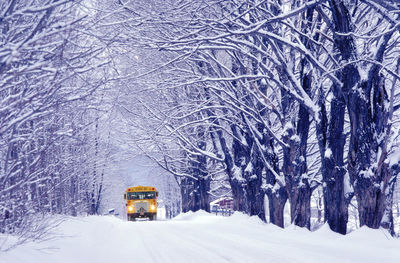 Going to school on a cold winter day in jericho, vermont.